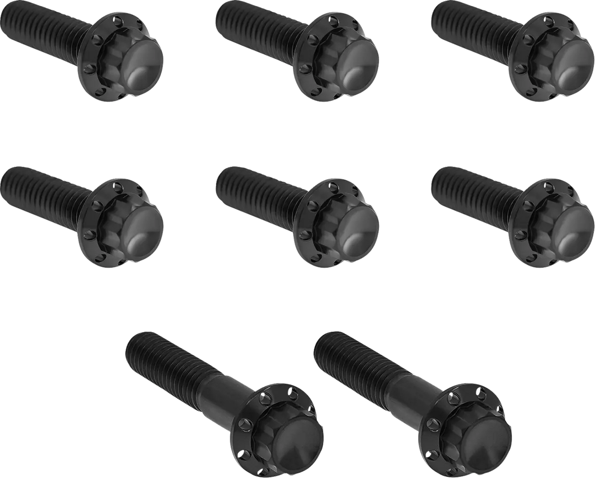 Arlen Ness Titanium 12-Point Trap Door Bolt Kit Black 6-Speed