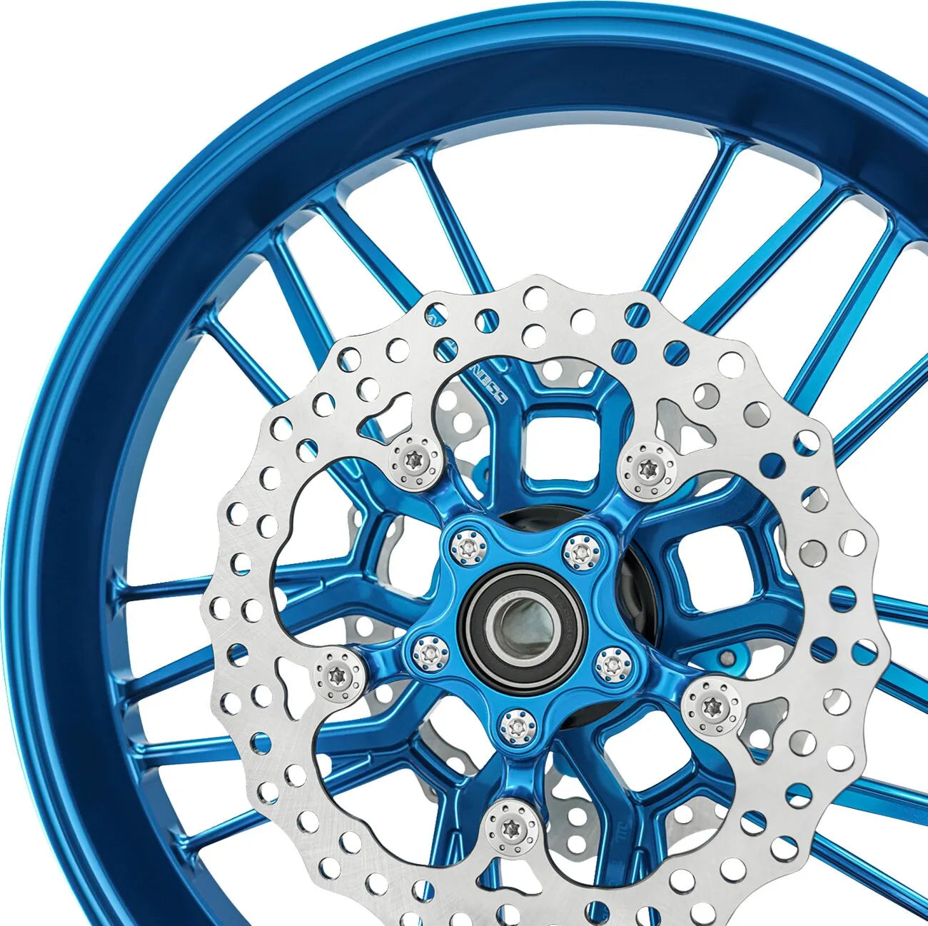 Arlen Ness Spider Rotor für Harley Davidson Abs/Non-Abs