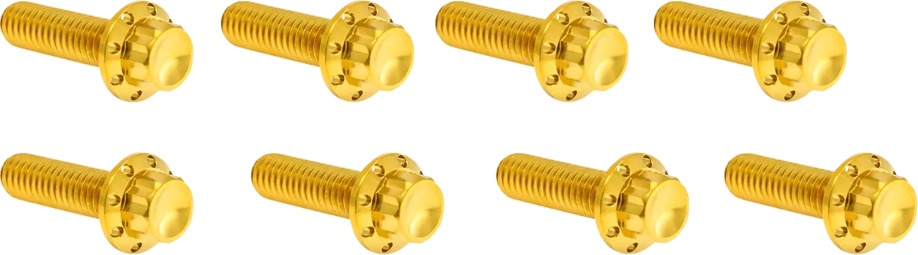 Arlen Ness Lifter Block Titanium 12-point Bolt Kit