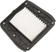 Drag Specialties Oem Replacement Air Filter For Indian