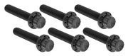 Arlen Ness Transmission Side Cover & Trap Door Titanium 12-POINT Bolt Kits – Hardware
