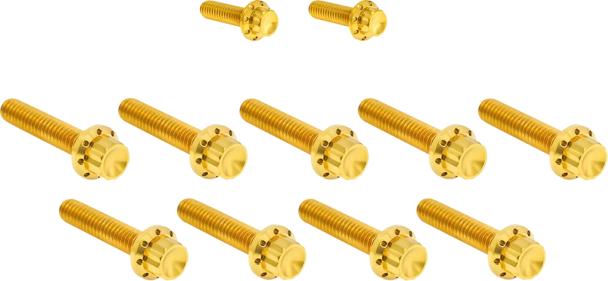 Arlen Ness Gold Titanium 12-Point Cam Cover Bolt Kit for H-D FLT
