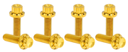 Arlen Ness Lifter Block Titanium 12-POINT Bolt Kits – Hardware