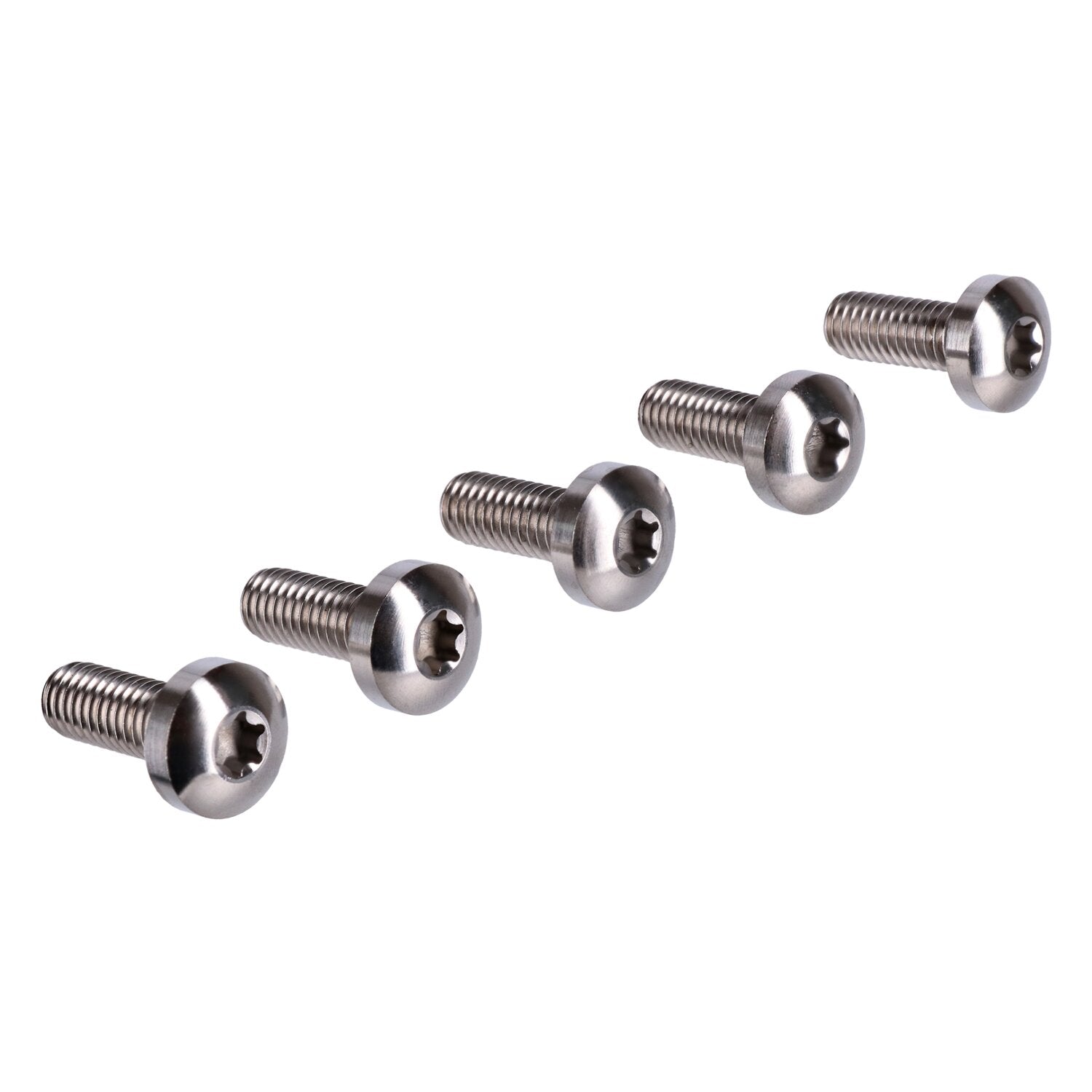 Screws4bikes bolt kit brake rotor discs rear (TITAN)