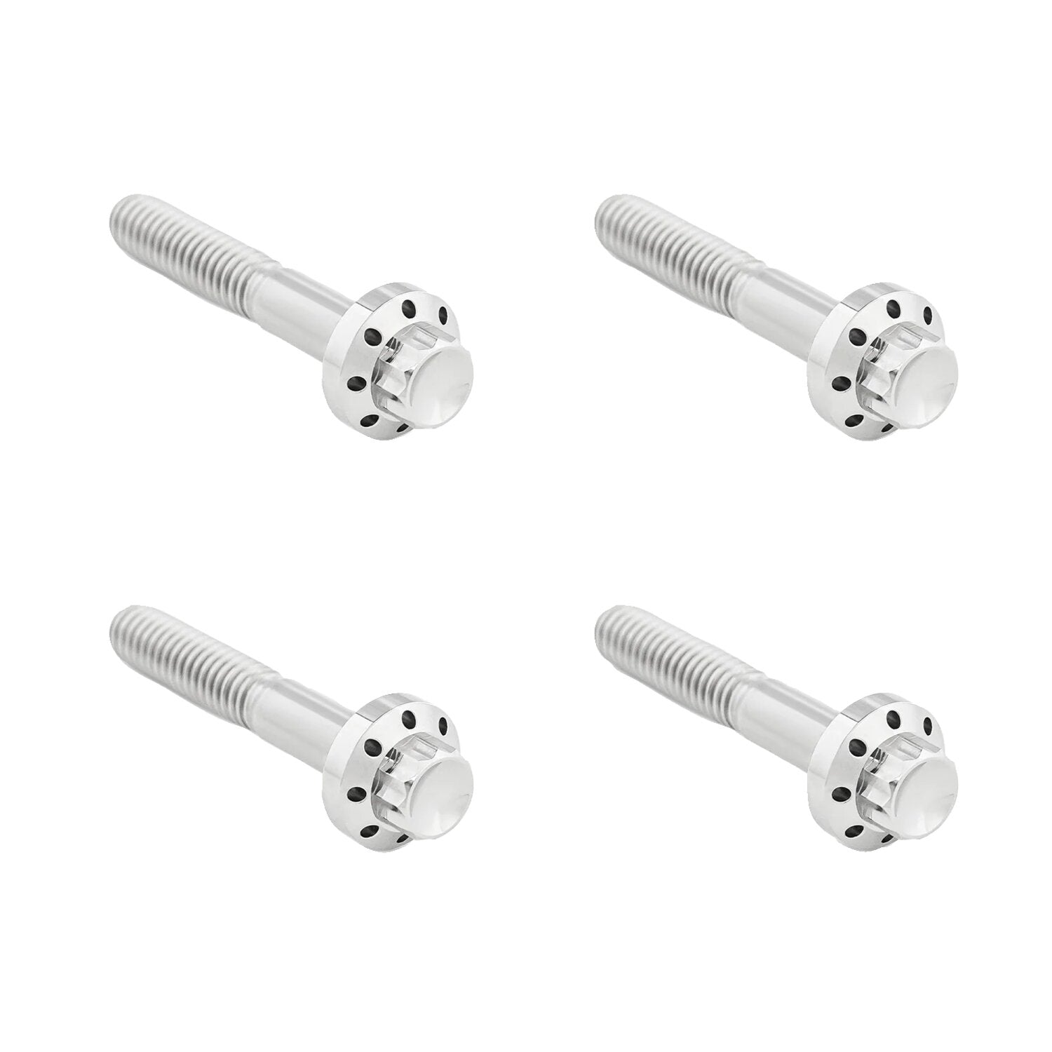 Arlen Ness titanium 12-point front fender bolt kit - Polish