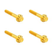 Arlen Ness titanium 12-point front fender bolt kit - Gold
