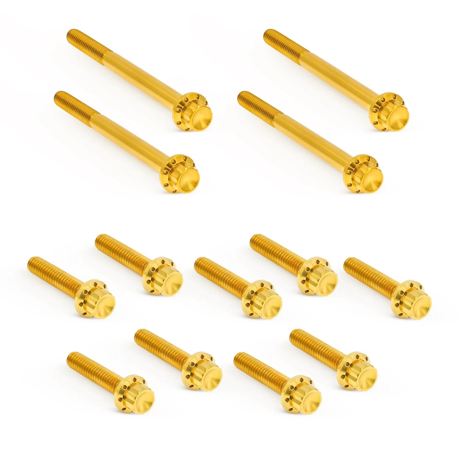 Arlen Ness Titanium 12pt Primary Cover Bolt Kits - Gold