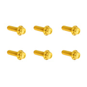 Arlen Ness titanium 12-point transm - top cover bolts - Gold