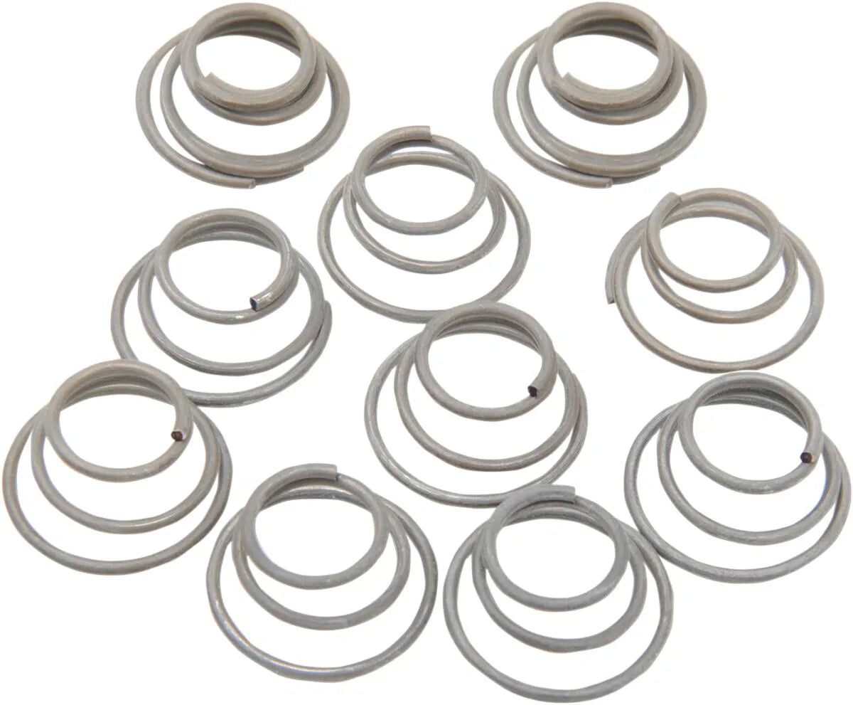 Eastern Motorcycle Parts Hub Bearing Plate Retainer Springs