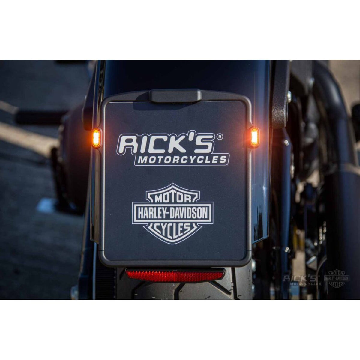 Rick's Motorcycles Slide In License Plate 18x20cm blk matte