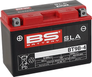 Bs Battery Agm Maintenance-free Battery