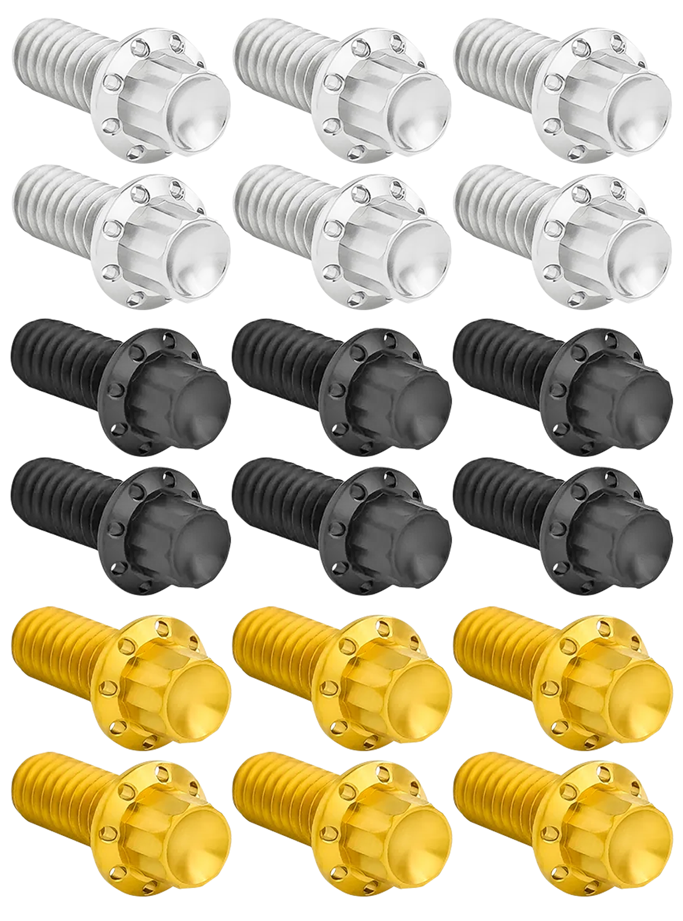 Arlen Ness Derby Cover Titanium 12-POINT Bolt Kits – Hardware