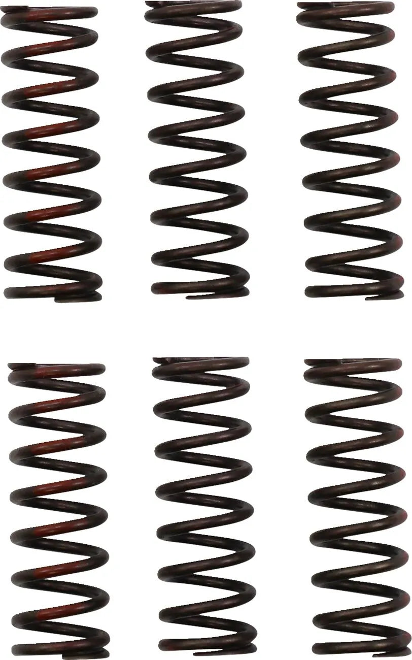 Pro Circuit Clutch Spring Set