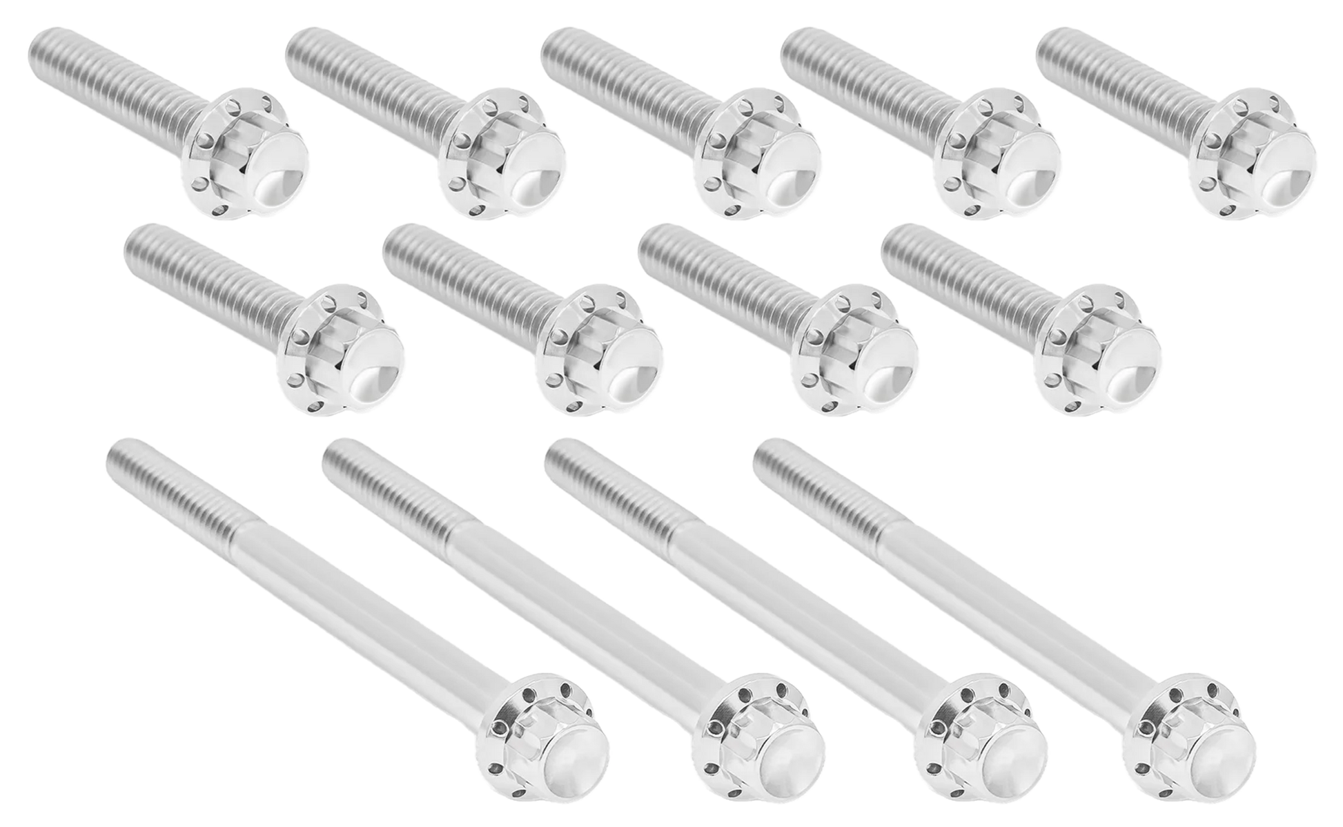 Arlen Ness Primary Cover Titanium 12-POINT Bolt Kits – Hardware