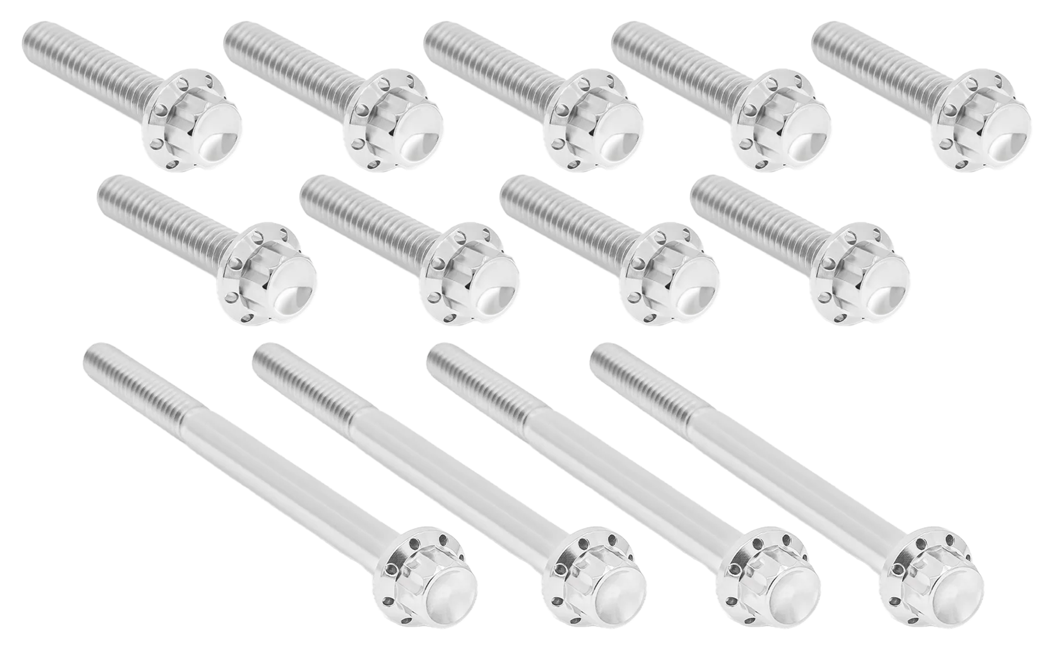 Arlen Ness Primary Cover Titanium 12-POINT Bolt Kits – Hardware
