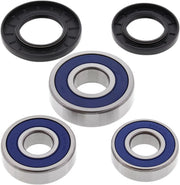 ALL BALLS Wheel Bearing Kit for Rear Wheel