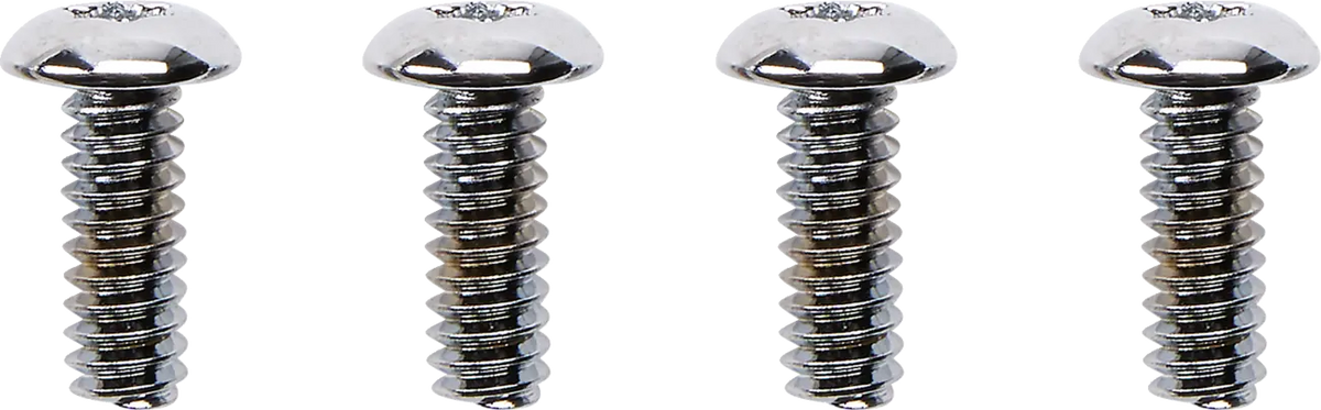 Drag Specialties Switch Housing Screw Kit Chrome 10-24 x 1/2"