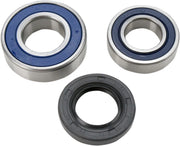 All Balls Chain Case Bearing and Seal Kit