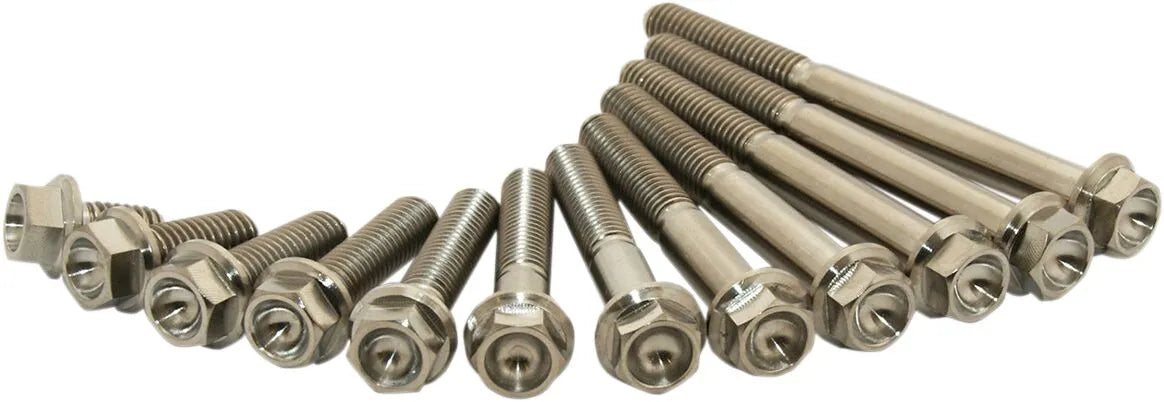 Scar Titanium Screws - M6 X 10
