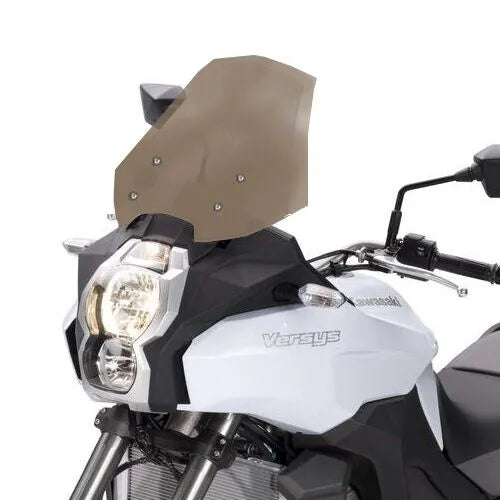 Bullster Windshield/windscreen - High Protection