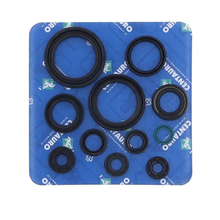 Centauro Fork Oil Seal Kit