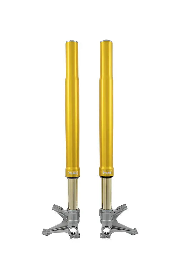 OHLINS FGRT200 FGRT 232 Front Fork for BMW S/M1000 RR