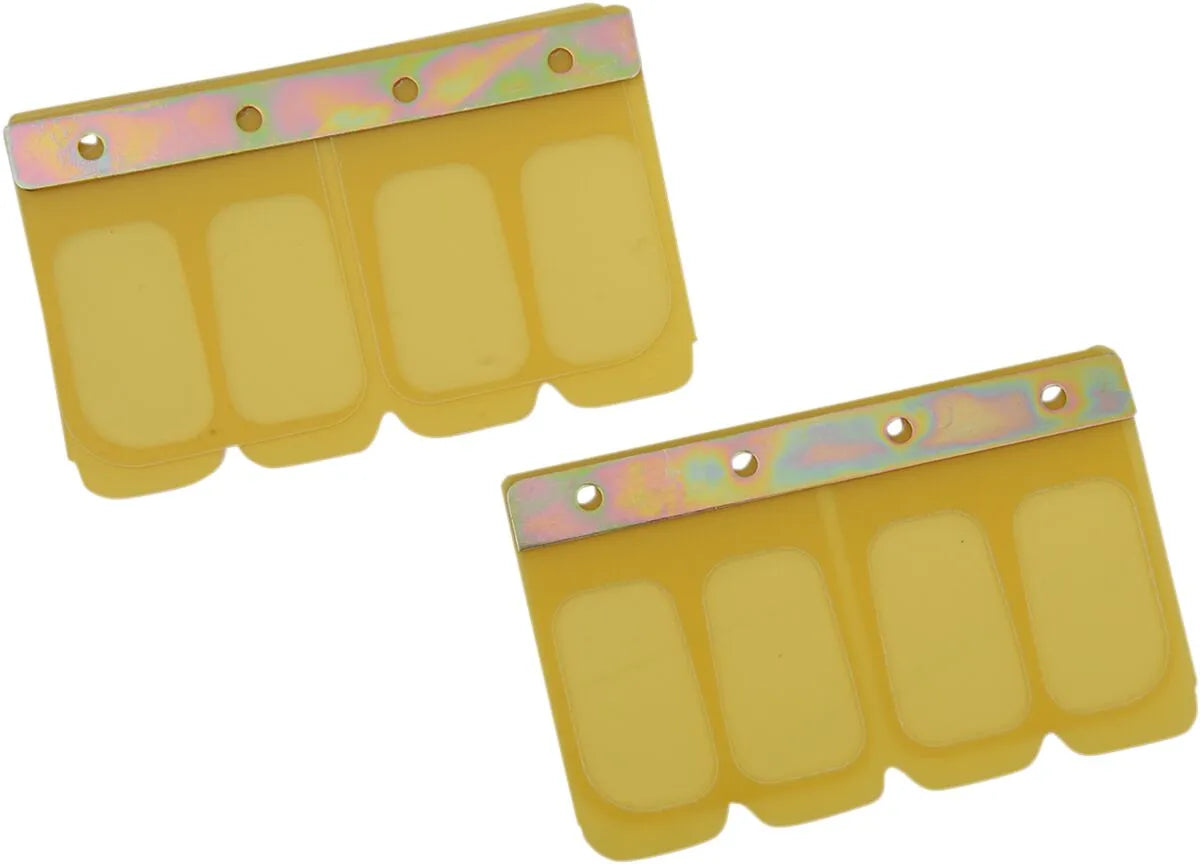 Boyesen Power Reed Set