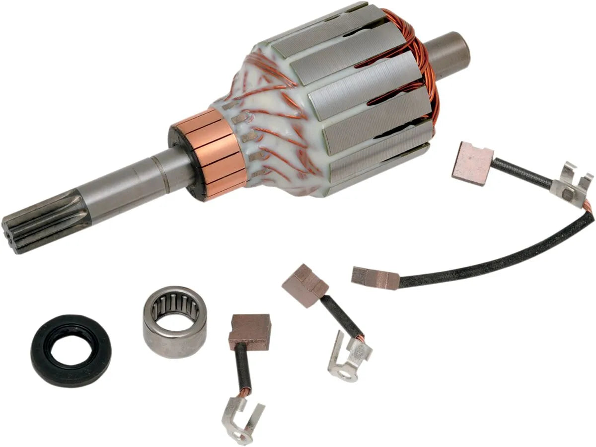 Rick's Motorsport Electric Starter Rebuild Kit