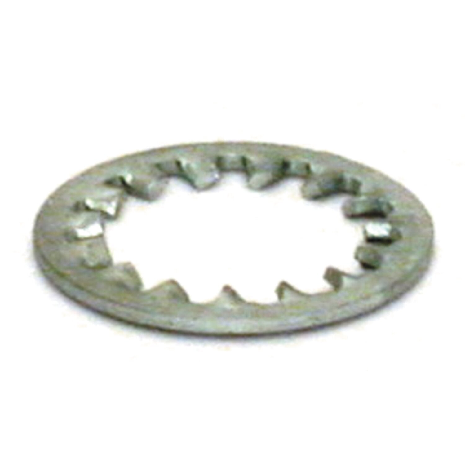 Gardner-Westcott Lockwasher swingarm bolt