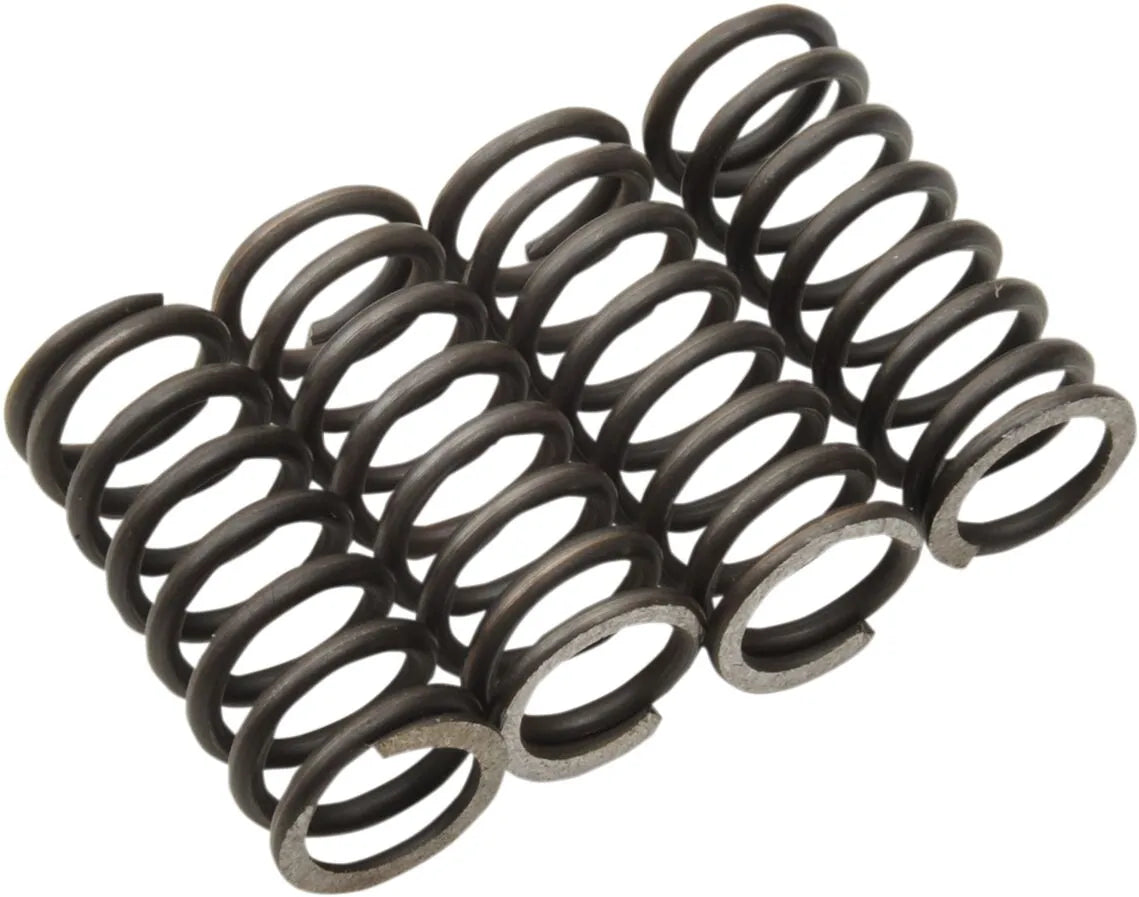 Moose Offroad Clutch Spring Set