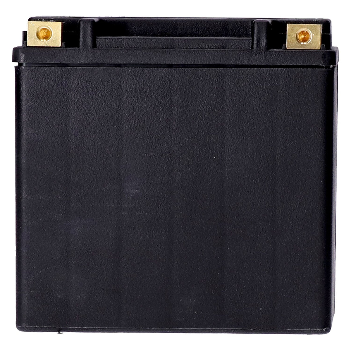 MCS Standard Series - AGM sealed battery - 12V 14Ah - 240CCA