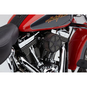 Cobra Naked air cleaner kit - Spoke - Black