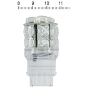 MCS Superflux #194 LED miniature bulb - White light glass base