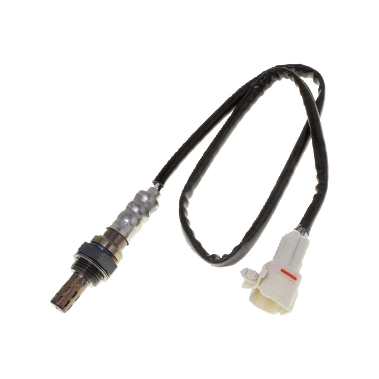 CVP O2 sensor Triumph Daytona Thunderbird