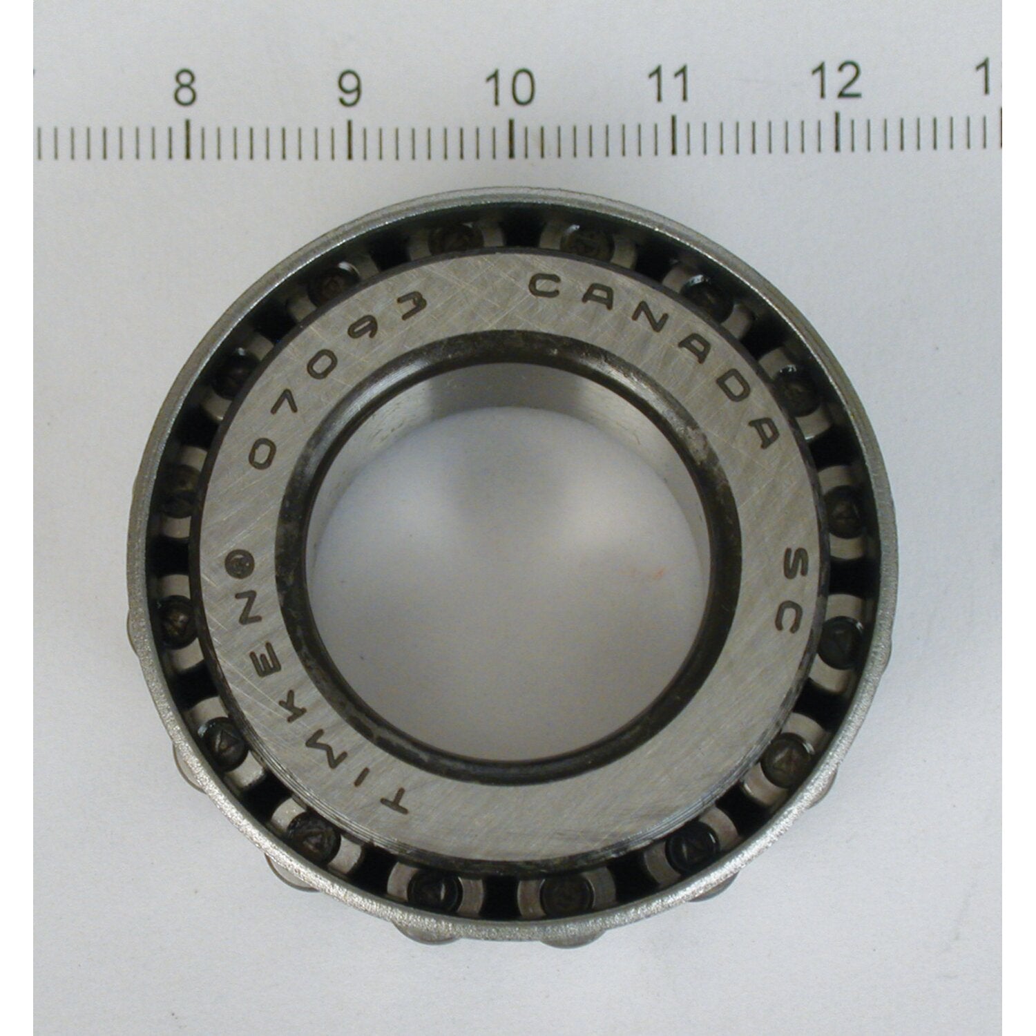 MCS Frame cup bearing - XL Sportster