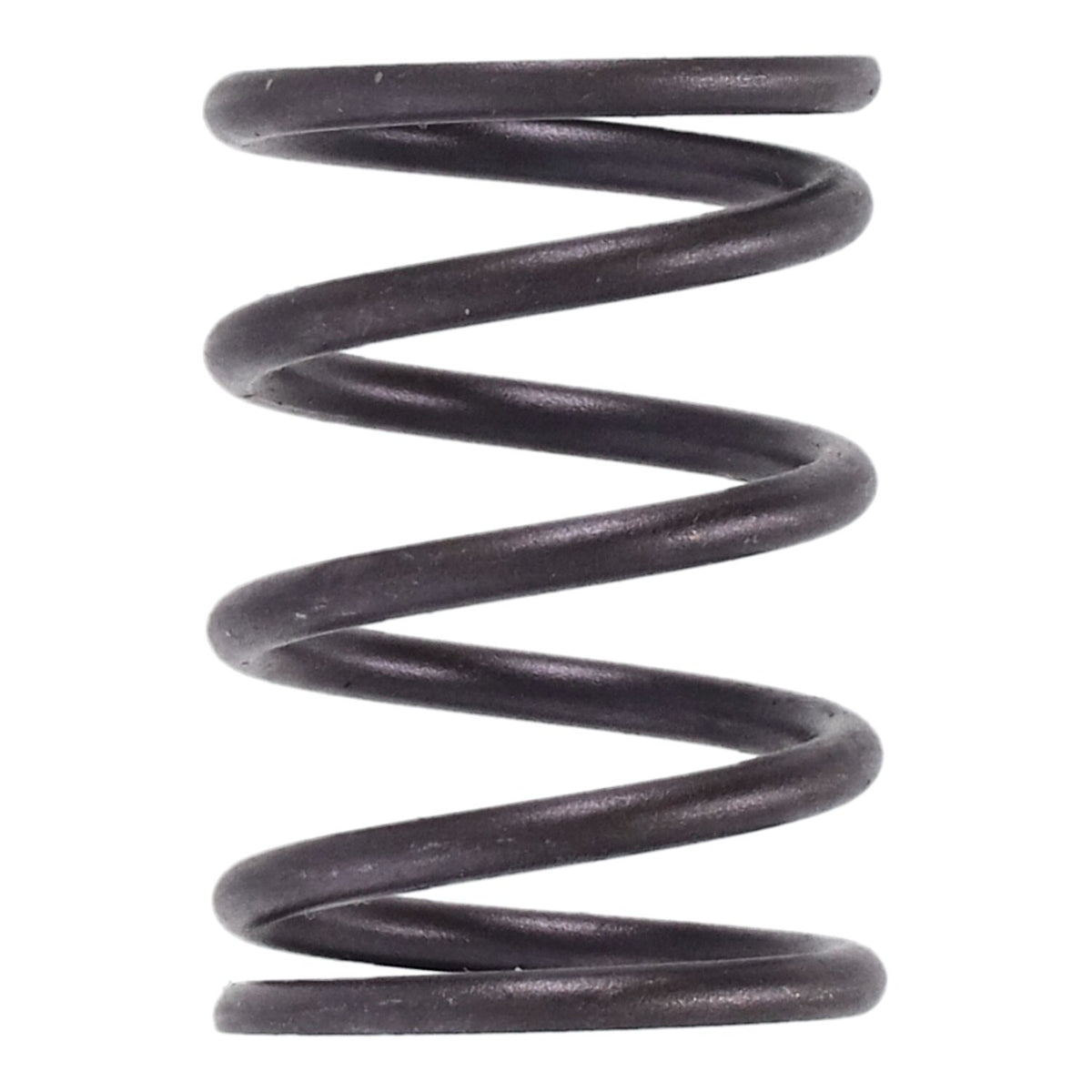 S&S inner valve spring .550" lift