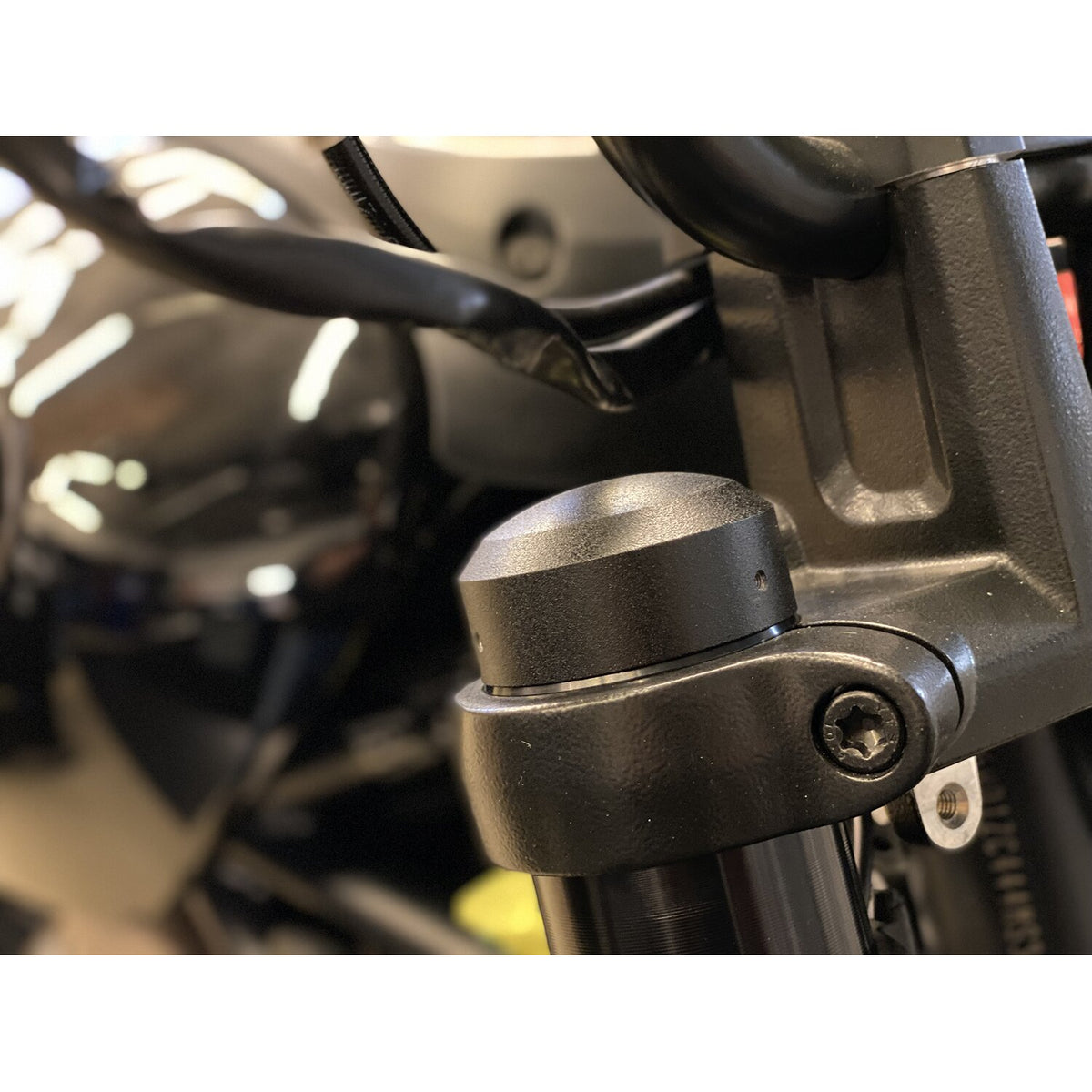 Killer Custom fork tube cap bolt covers
