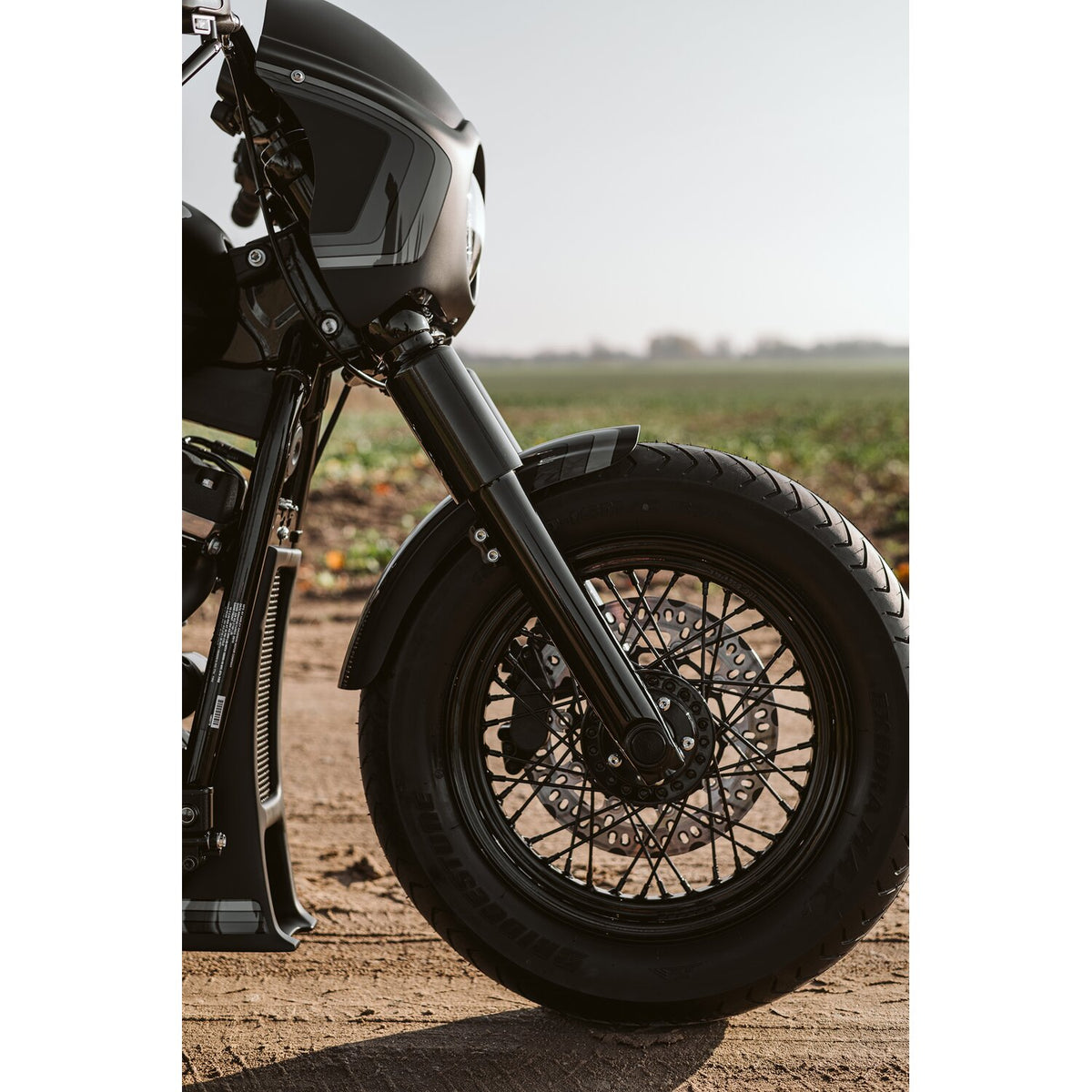 Killer Custom Street Bob custom front fender