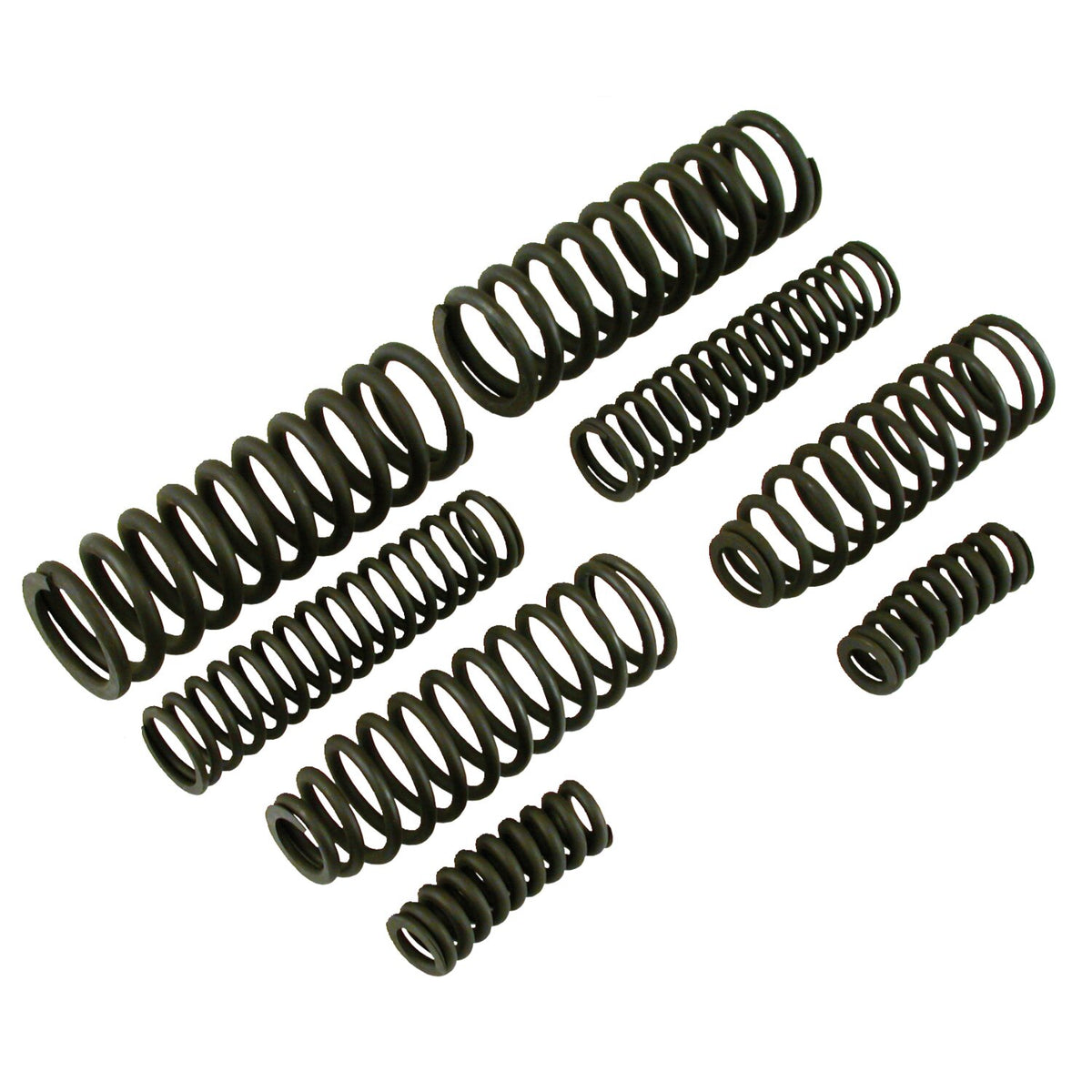 Samwel Heavy Duty 8-spring set for early Springer forks - Black Par