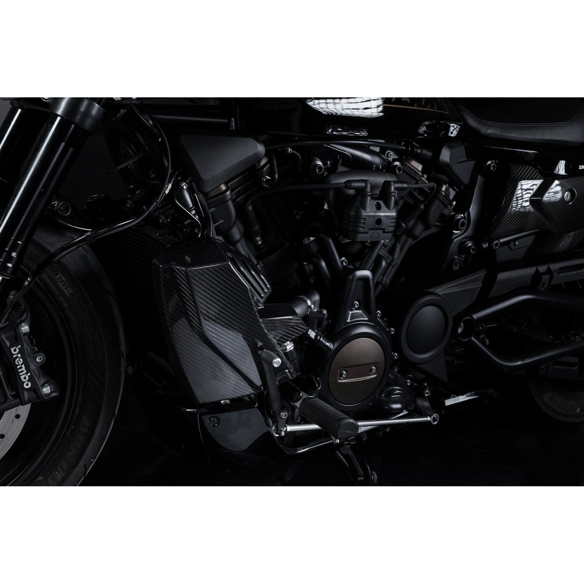 Zard carbon radiator cover and side panel kit