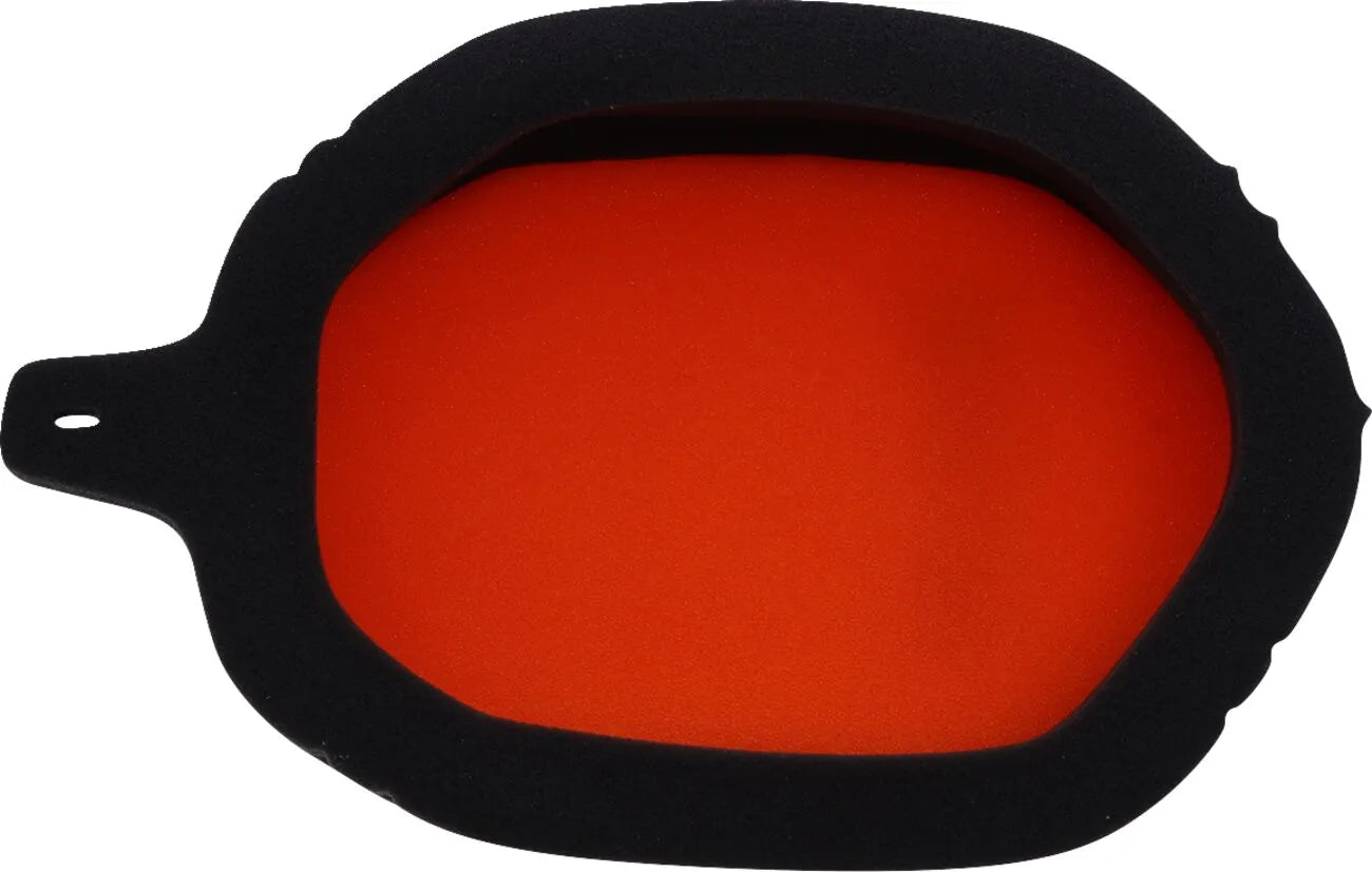 Twin Air Standard Air Filter