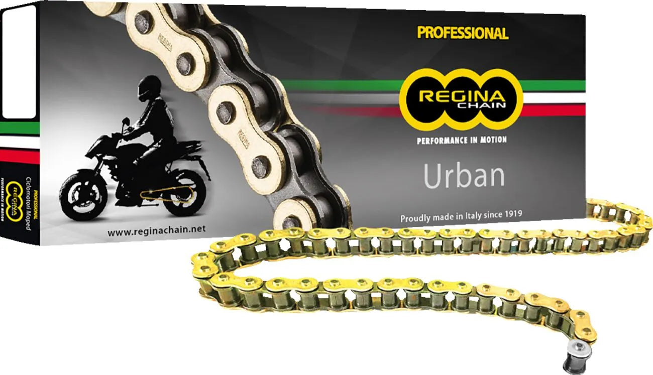 Regina 520 Eb-oro Drive Chain