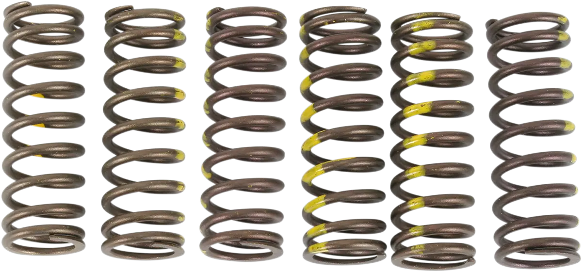 Pro Circuit Clutch Spring Set