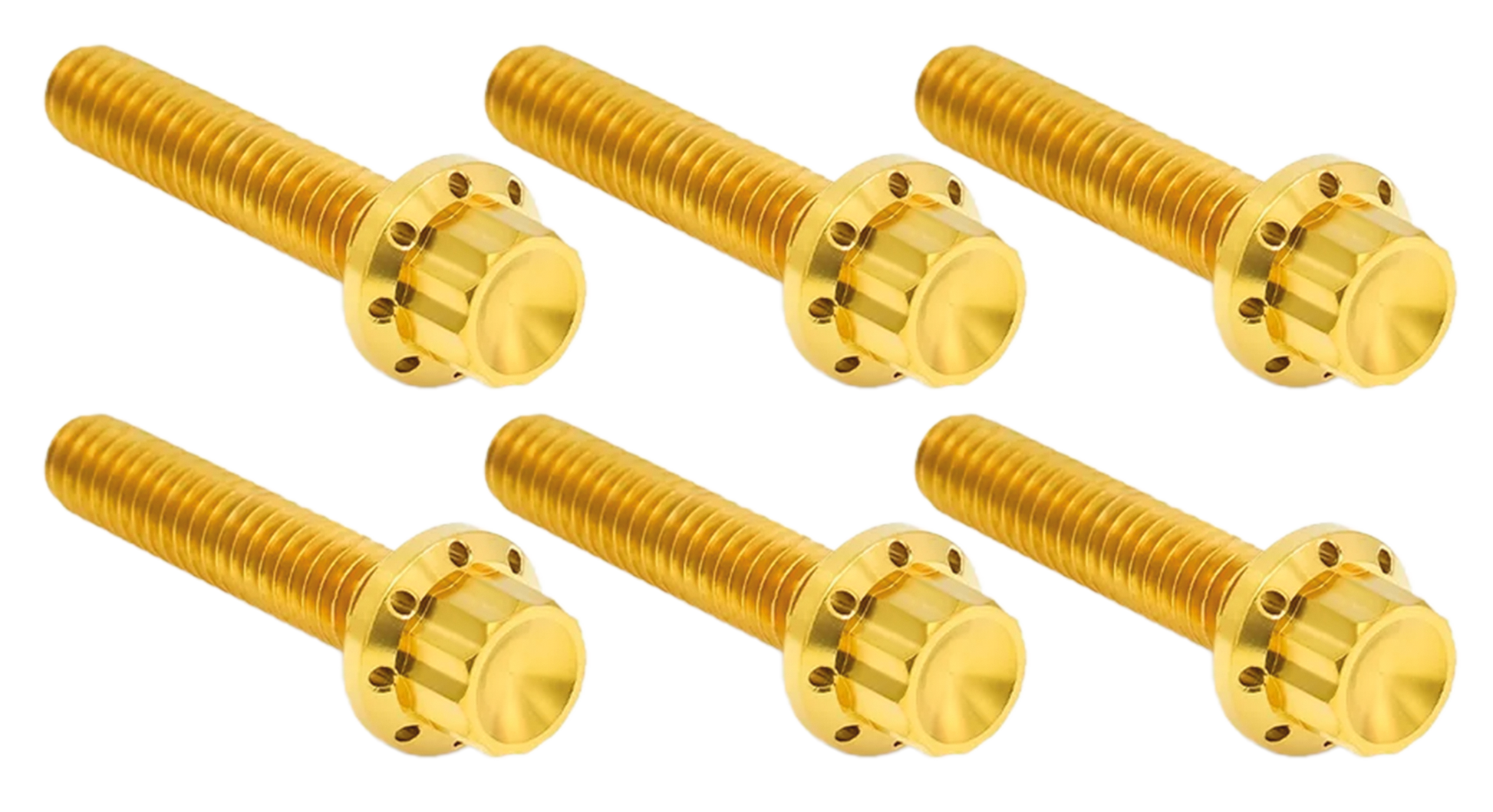 Arlen Ness Transmission Side Cover & Trap Door Titanium 12-POINT Bolt Kits – Hardware
