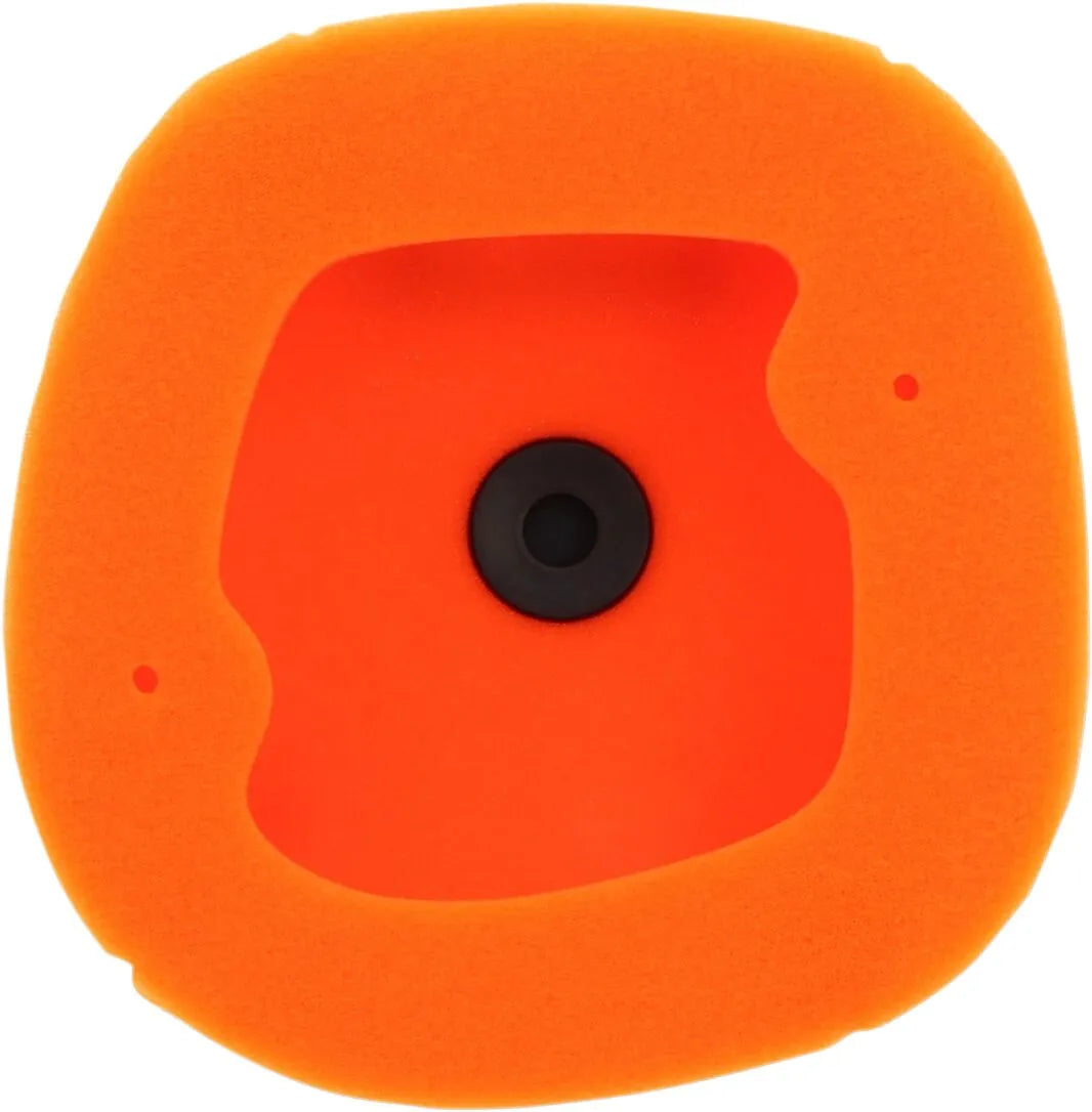 Twin Air Standard Air Filter