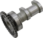 Hot Cams Stage 1 Intake Camshaft