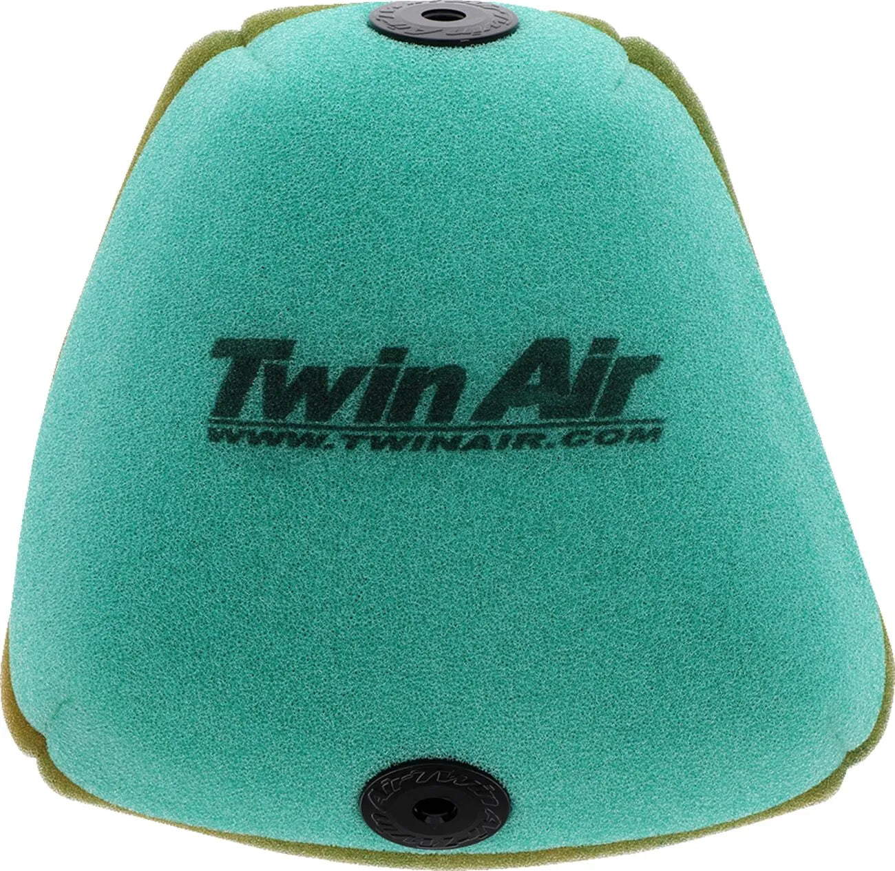 Twin Air Air Filter