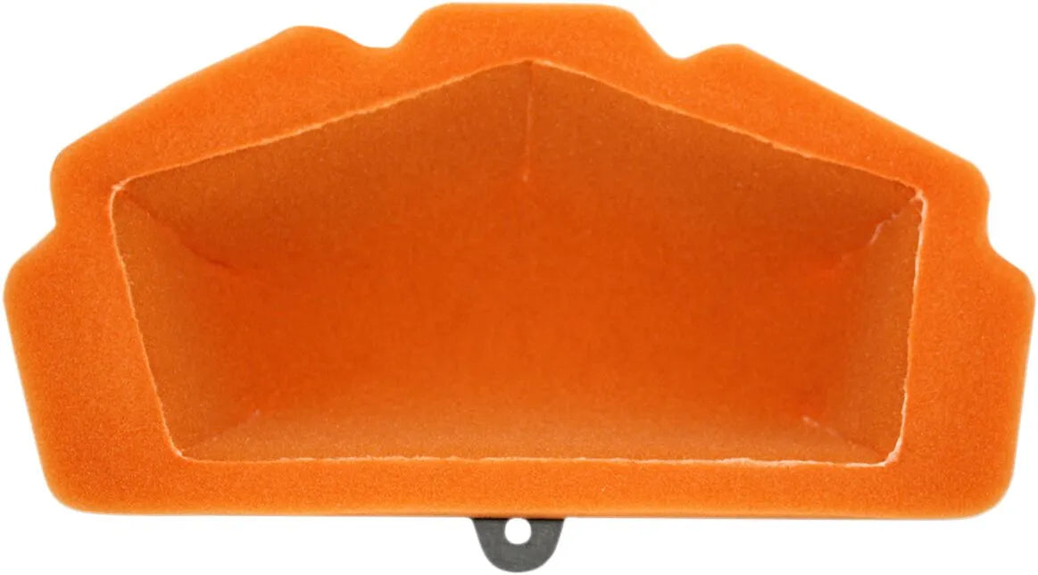 Twin Air Standard Air Filter