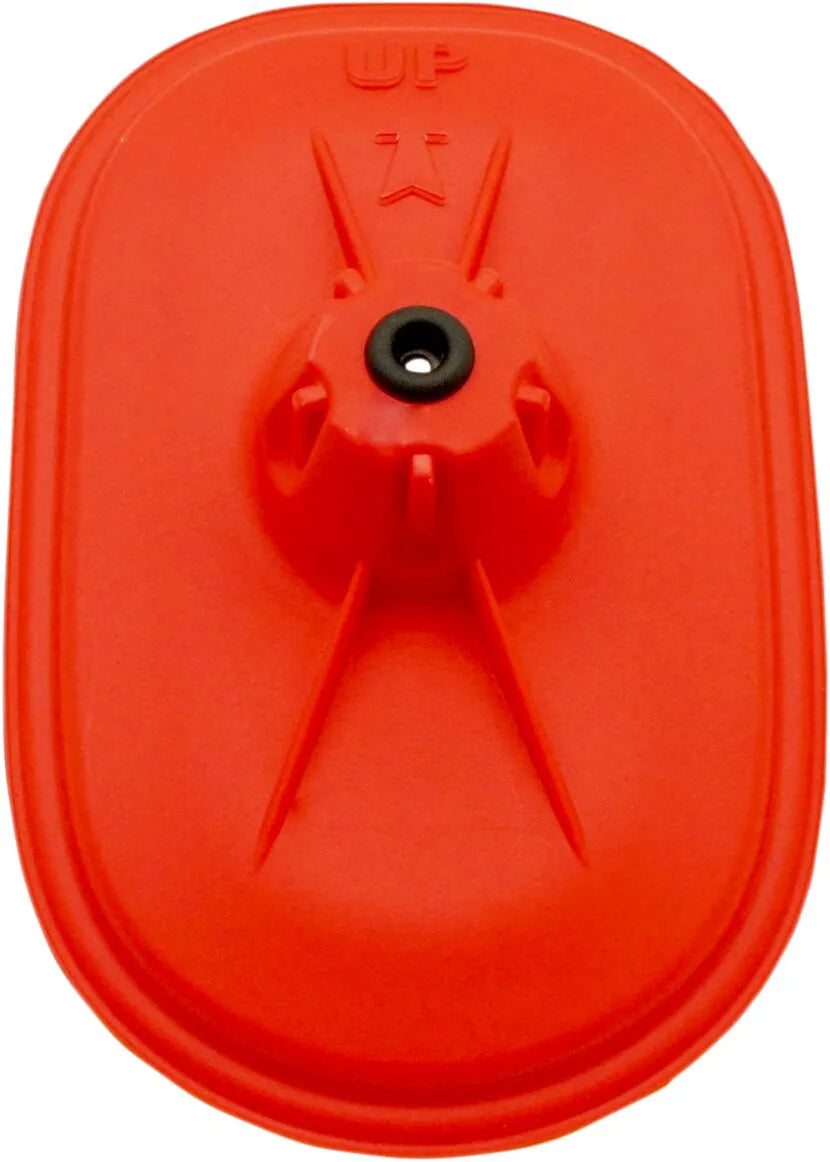 DT-1 Racing Europe Air Box Cover