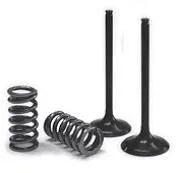 Prox Valve & Spring Kit - Exhaust